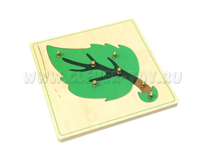 Части листа (дер.пазлы с контуром) Части листа (дер.пазлы с контуром)