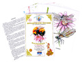 Методическое пособие "Насекомые 1" (дидактический материал) Методическое пособие "Насекомые 1" (дидактический материал)