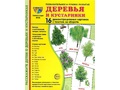Демонстрационные картинки СУПЕР. Деревья и кустарники (16 шт.) Демонстрационные картинки СУПЕР. Деревья и кустарники (16 шт.)