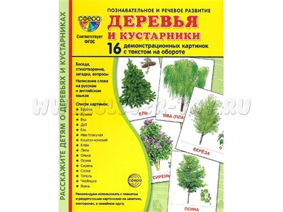 Демонстрационные картинки СУПЕР. Деревья и кустарники (16 шт.) Демонстрационные картинки СУПЕР. Деревья и кустарники (16 шт.)