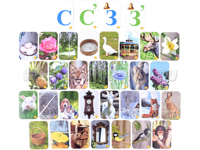 Набор магнитных карточек "Звуковозик" (С, З) Набор магнитных карточек "Звуковозик" (С, З)