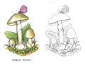 Раскраска Ядовитые грибы Раскраска Ядовитые грибы