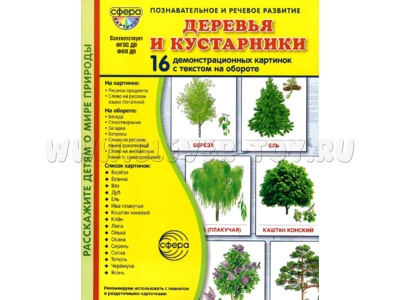 Демонстрационные картинки СУПЕР в папке. Деревья и кустарники (16 шт.)